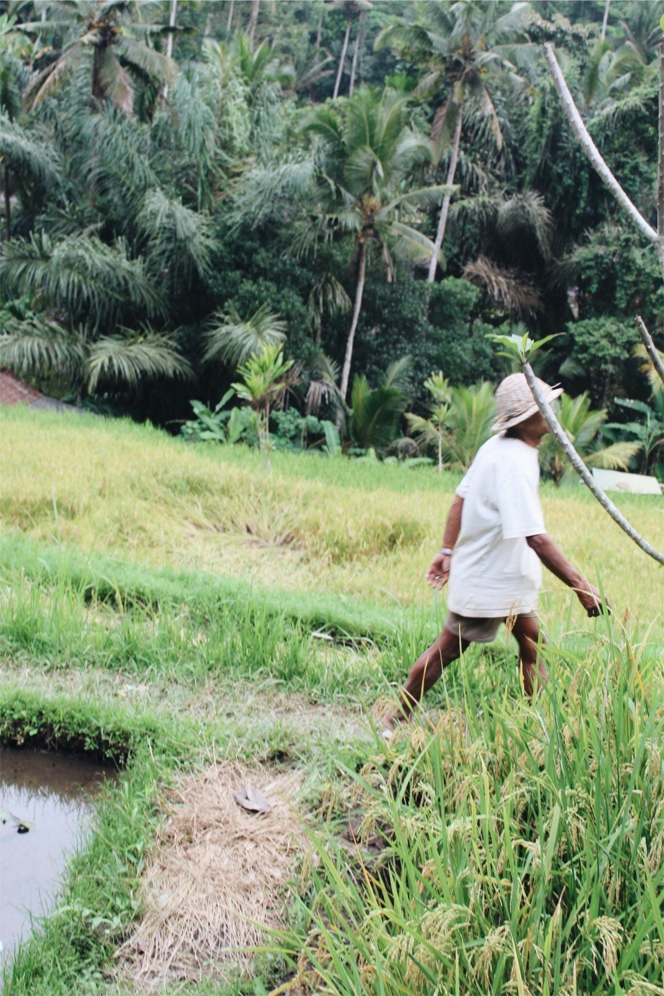 Indonesia, 2018 © JULIA ARANTES GUIOTTI