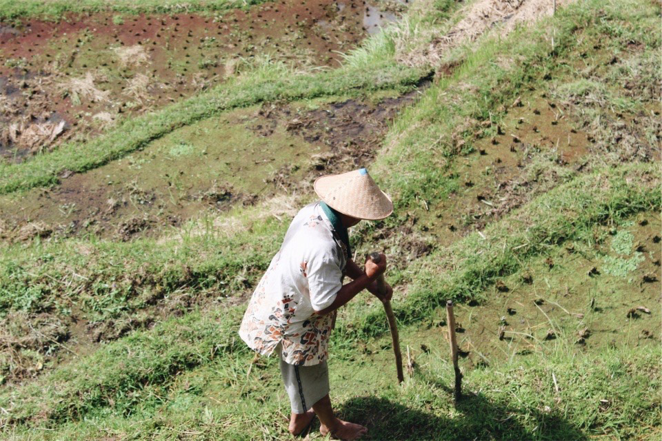 Indonesia, 2023 © JULIA ARANTES GUIOTTI