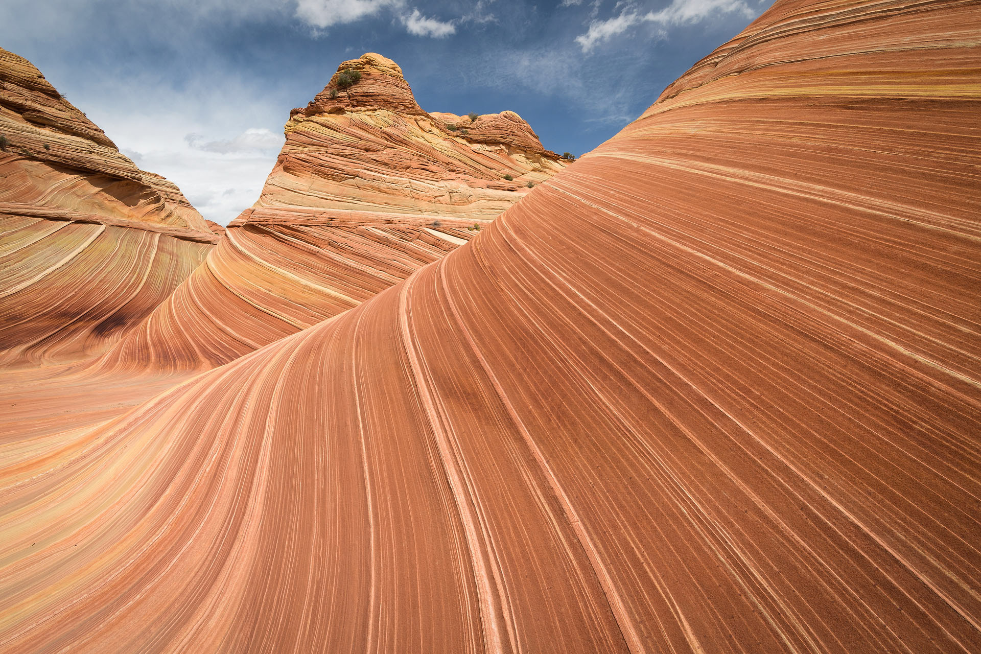 The Wave | Coyote Buttes