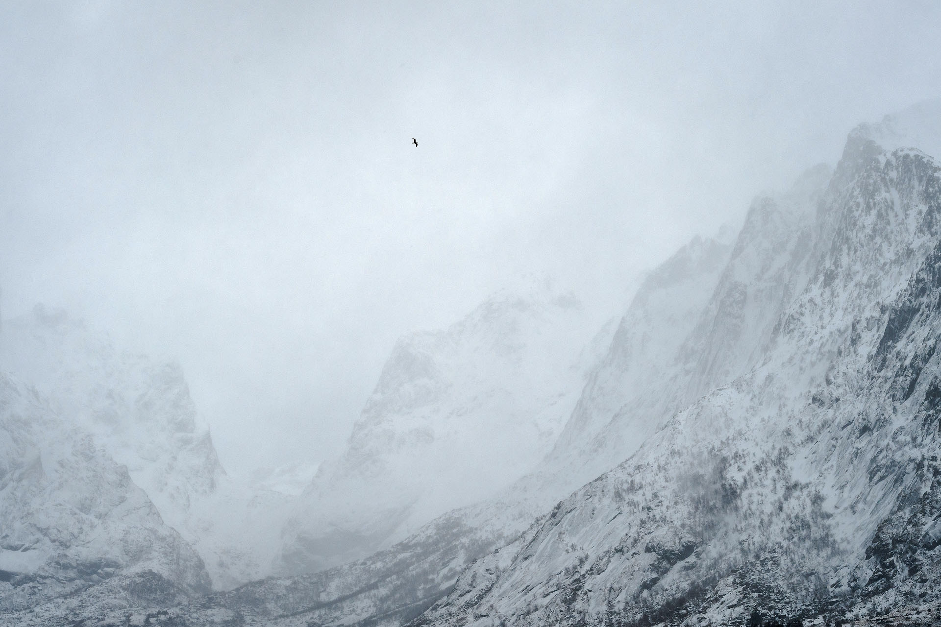 Reine | Lofoten