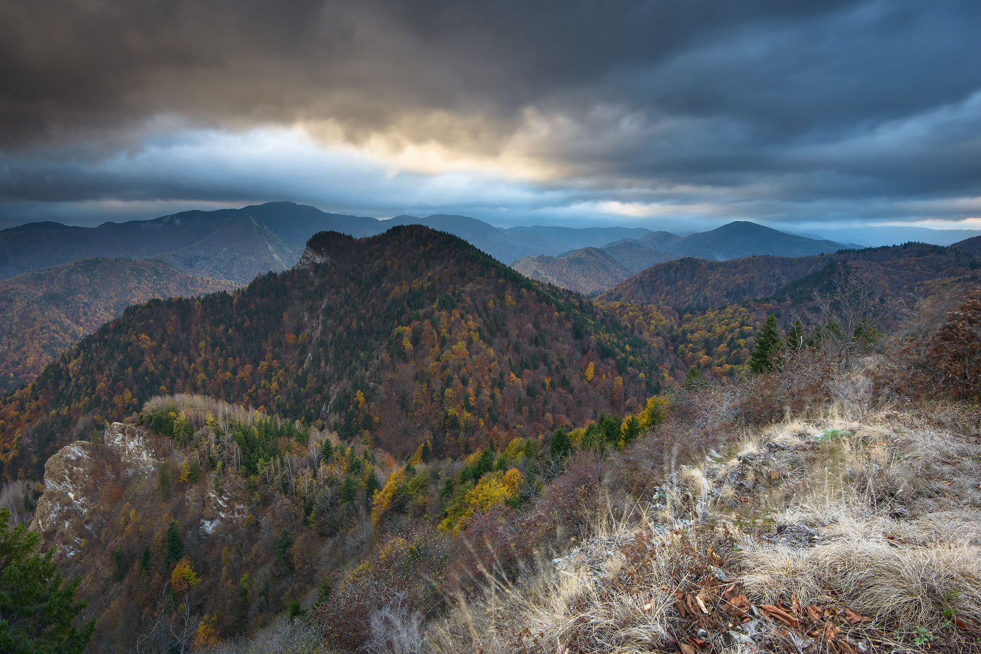 Putna - Vrancea