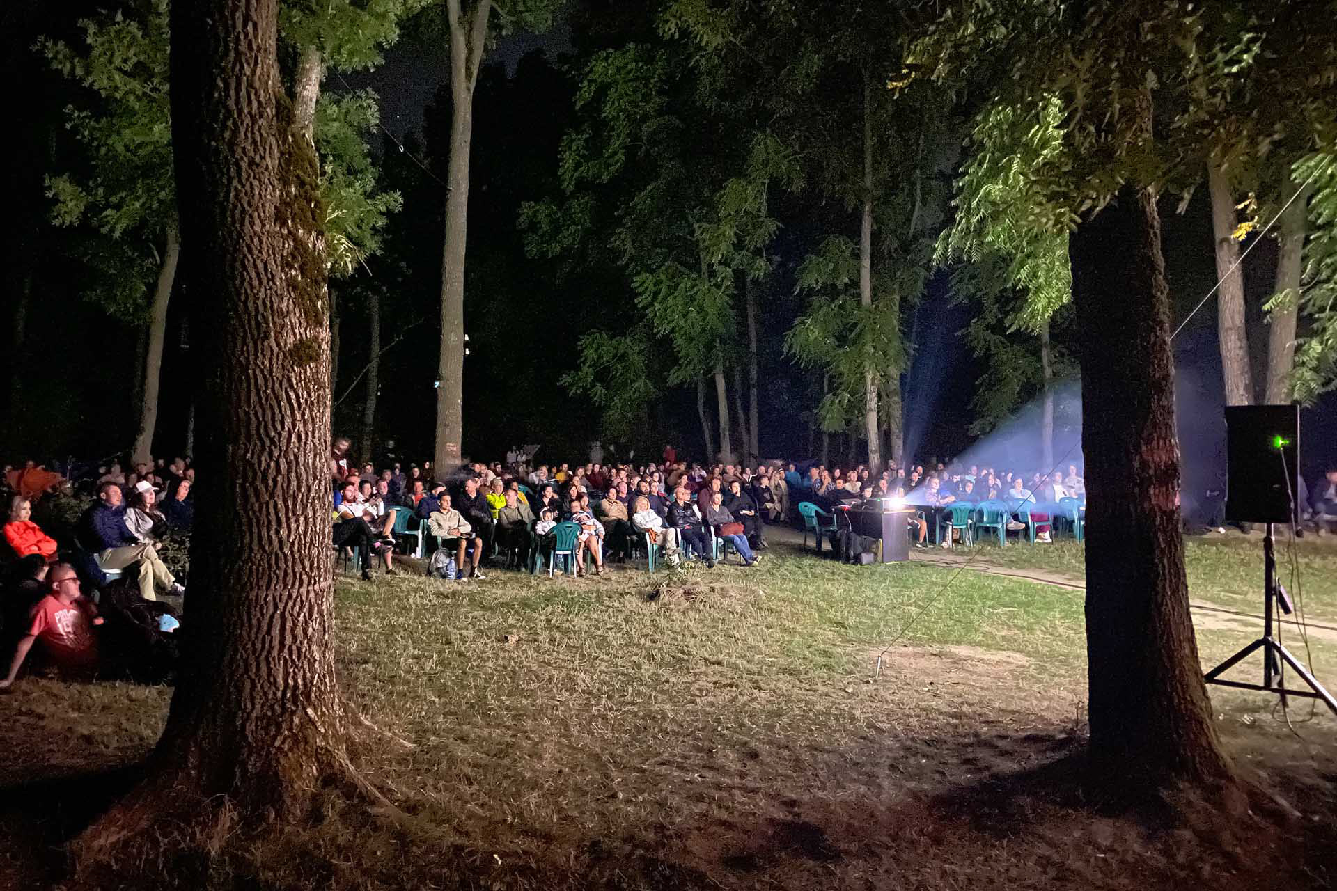 Screening in the forest