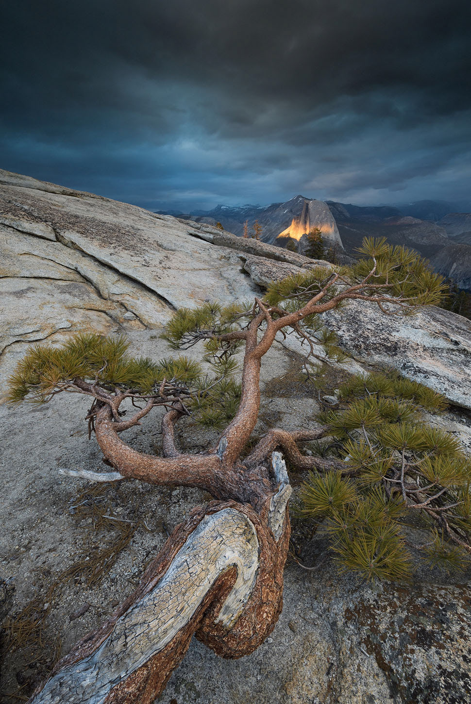 Sentinel Dome | Yosemite