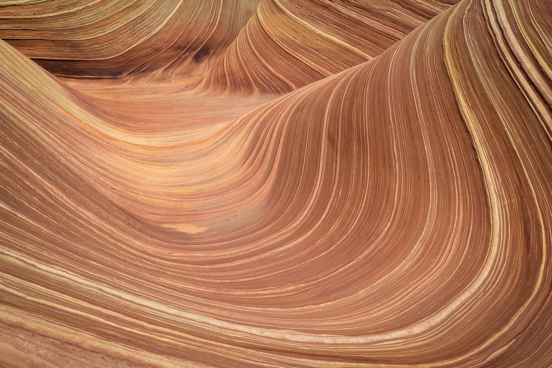The Wave | Coyote Buttes