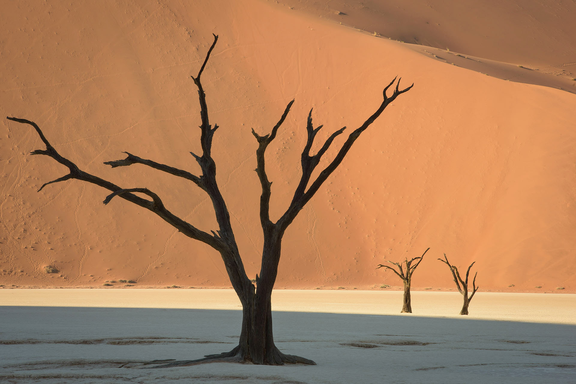 Dead Vlei | Namibia