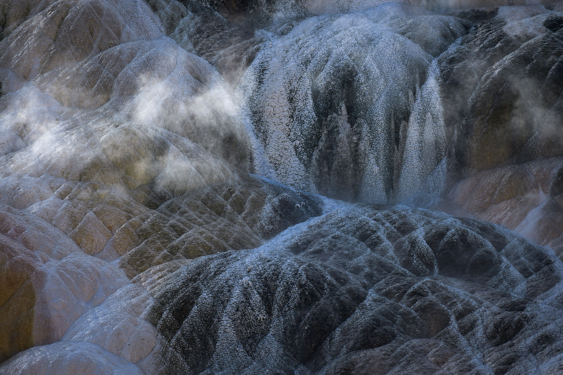 Mammot Hot Springs | Yellowstone