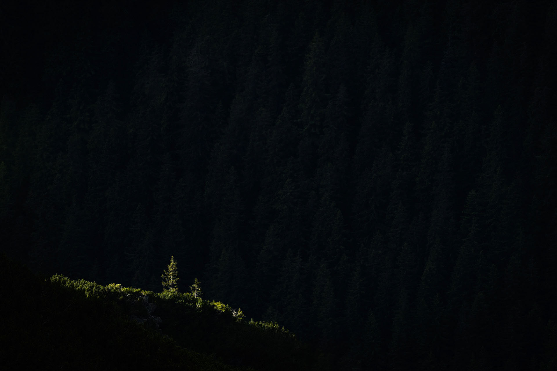 Făgăraș Mountains