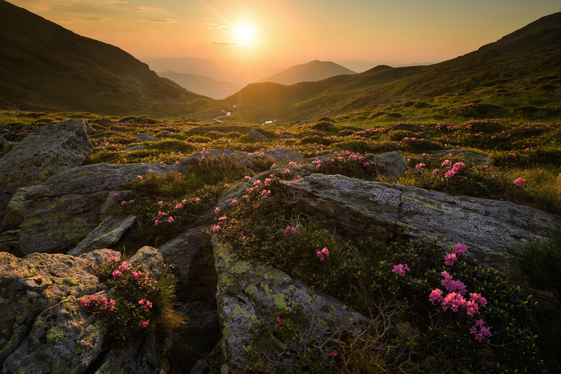 Rodnei Mountains National Park