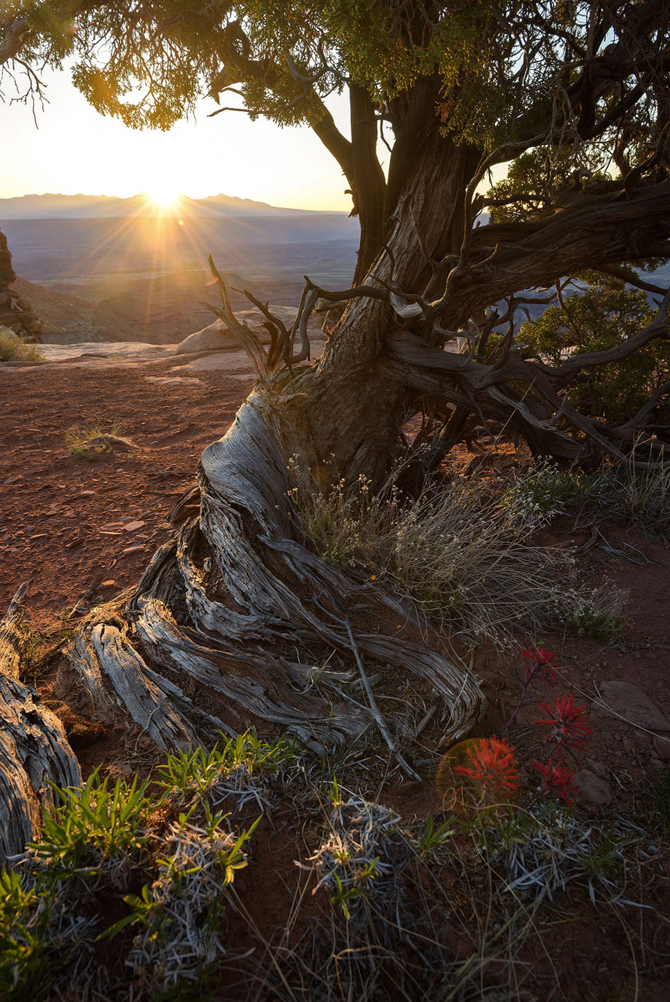 Canyonlands