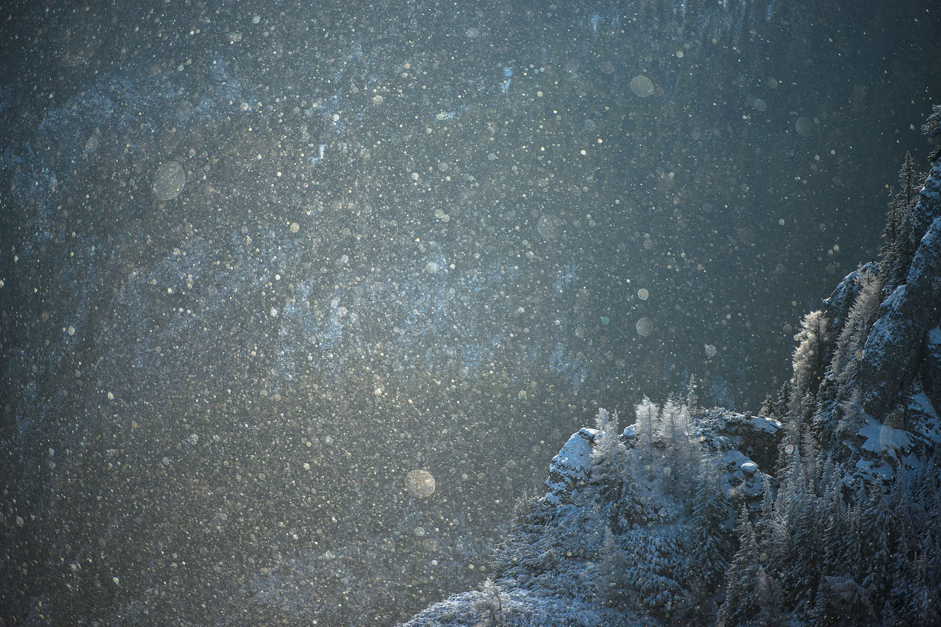 Ceahlău National Park