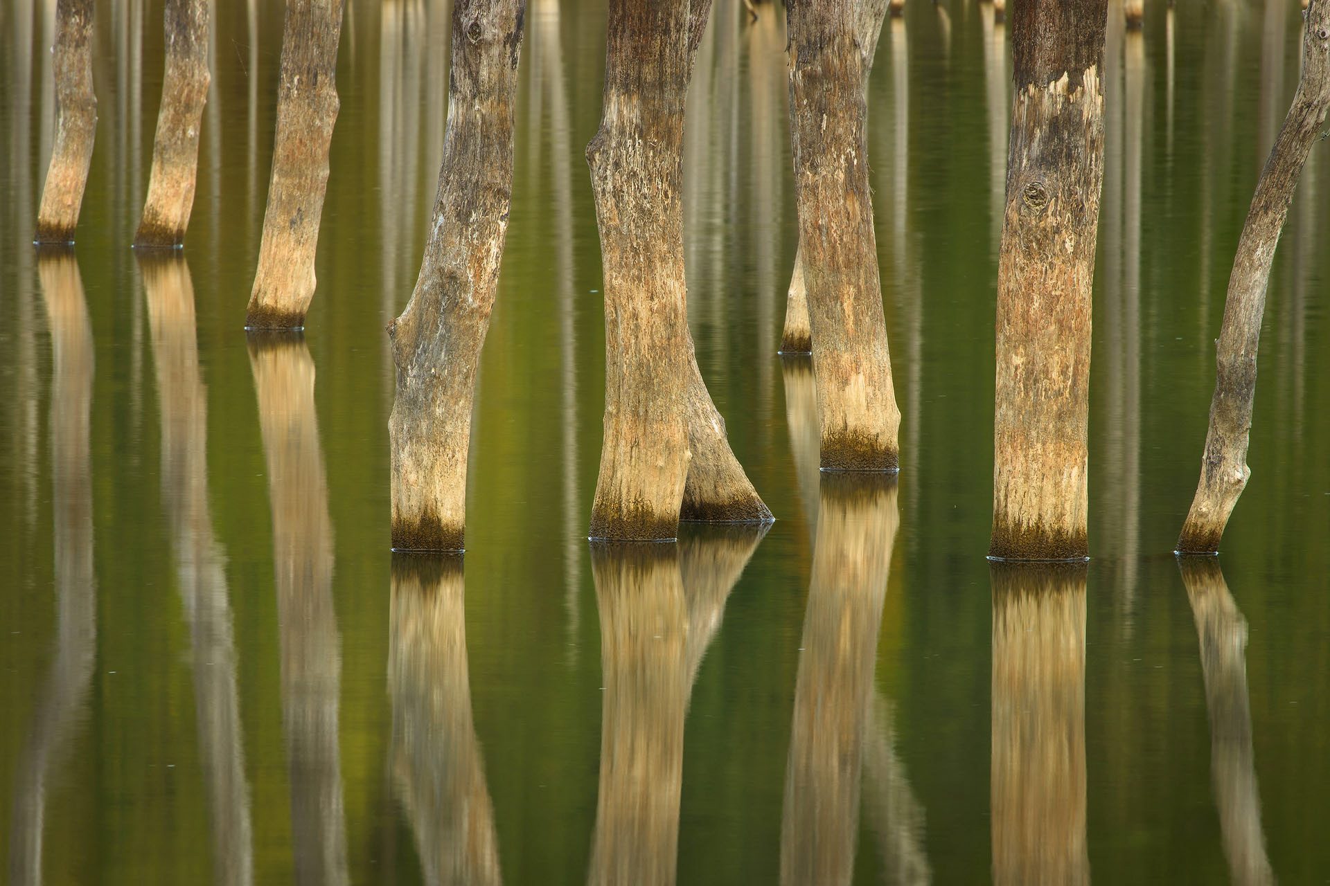 Cueșdel Lake
