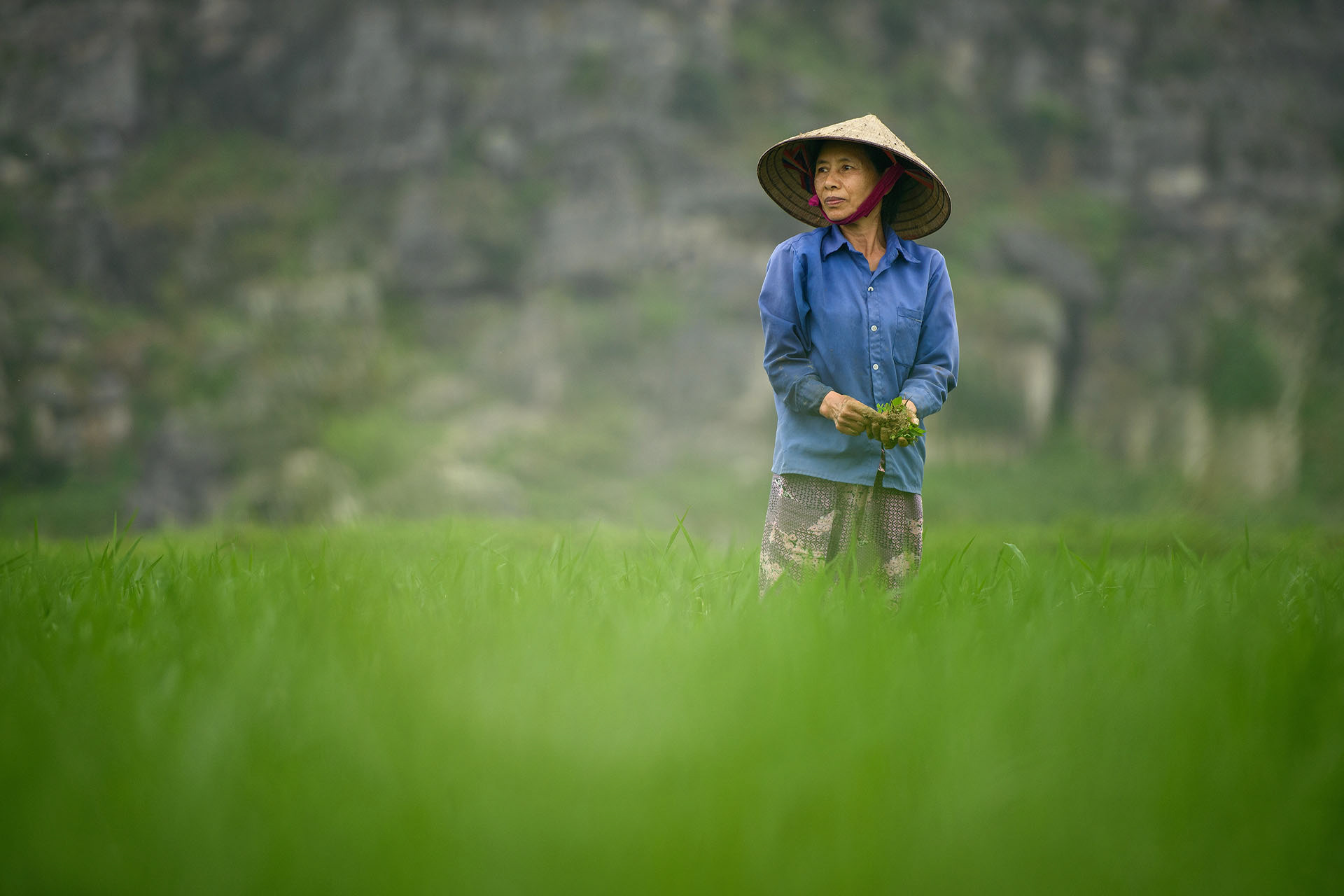 Ninh Binh
