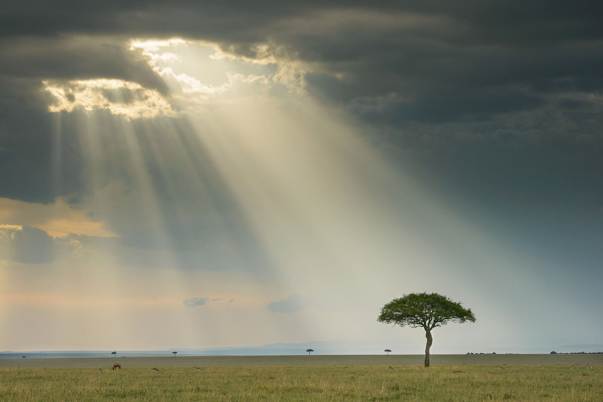 Kasai Mara | Kenya