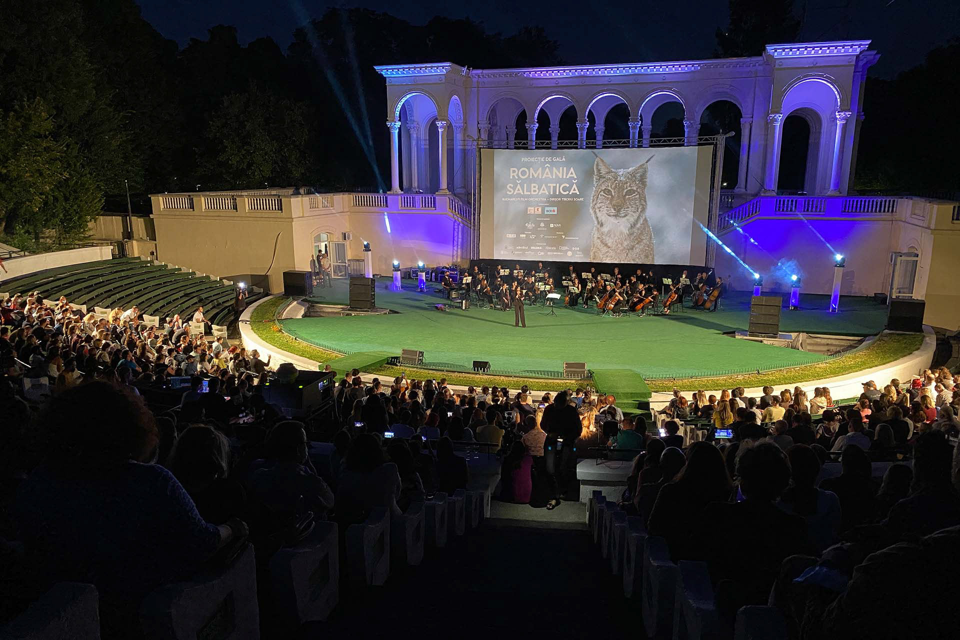 Live orchestra screening