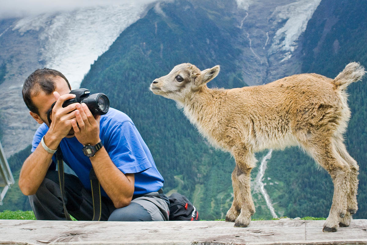 Chamonix | Franța