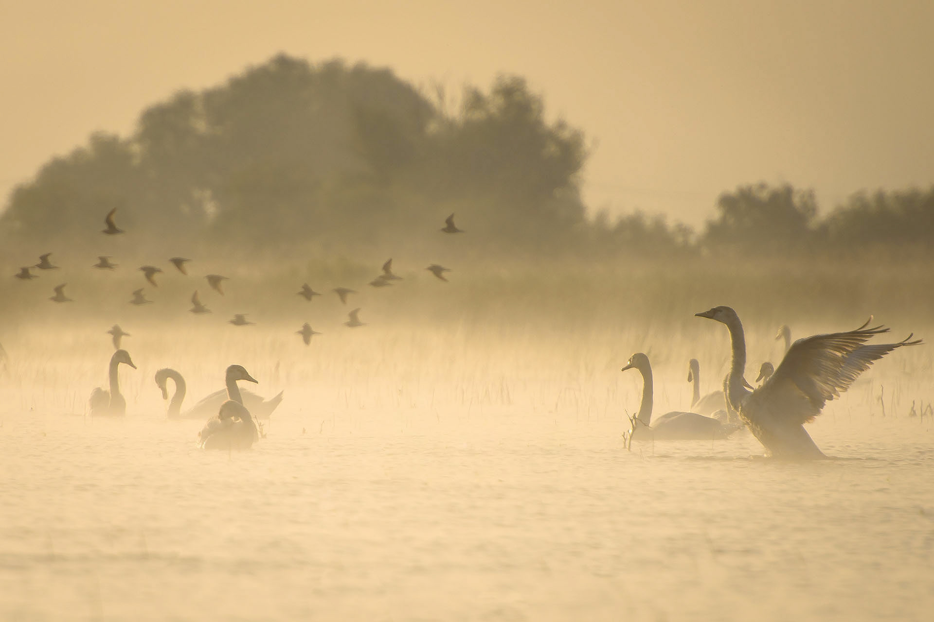 Danube Delta Biosphere Reserve