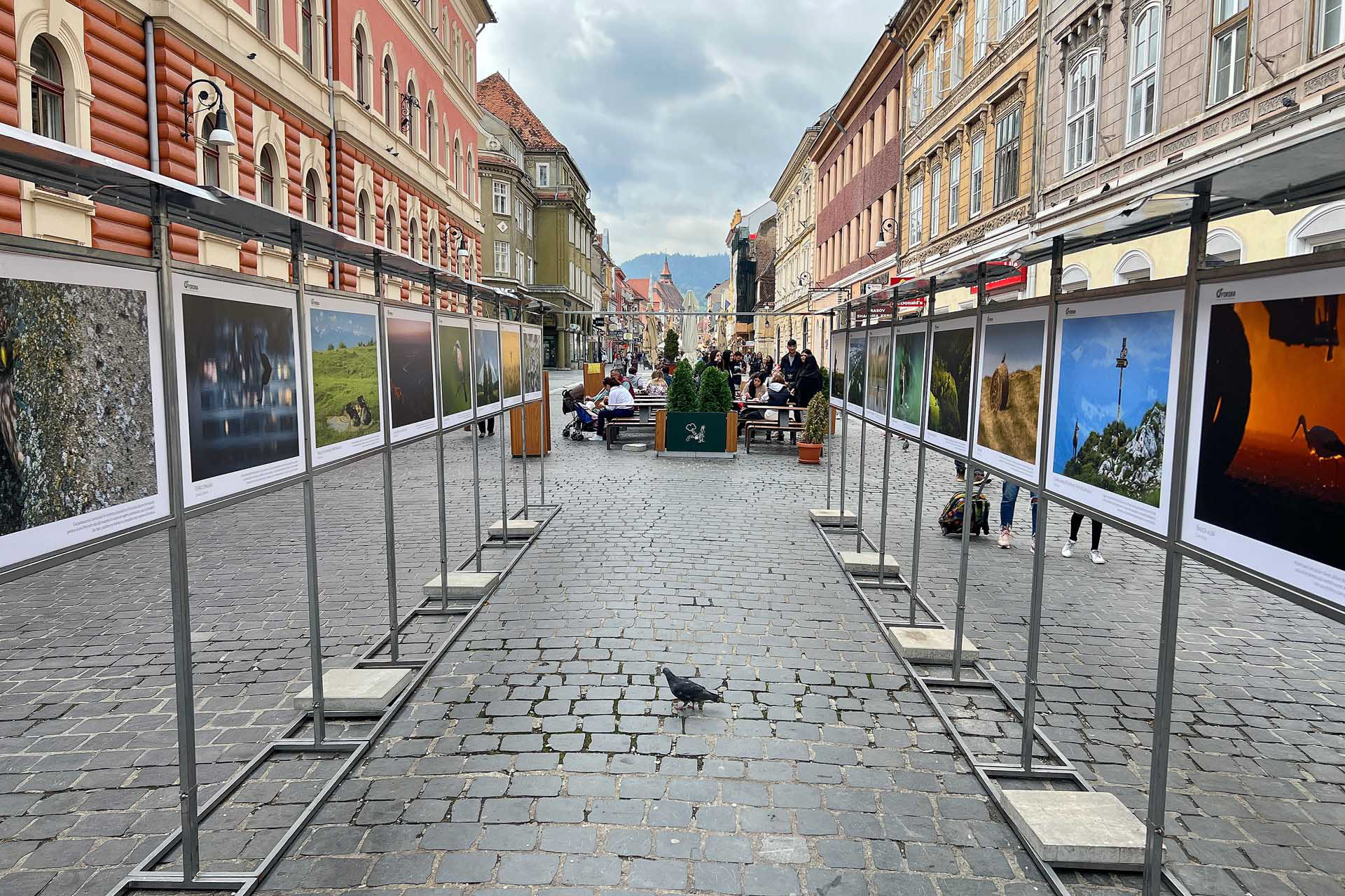 Outdoor exhibition