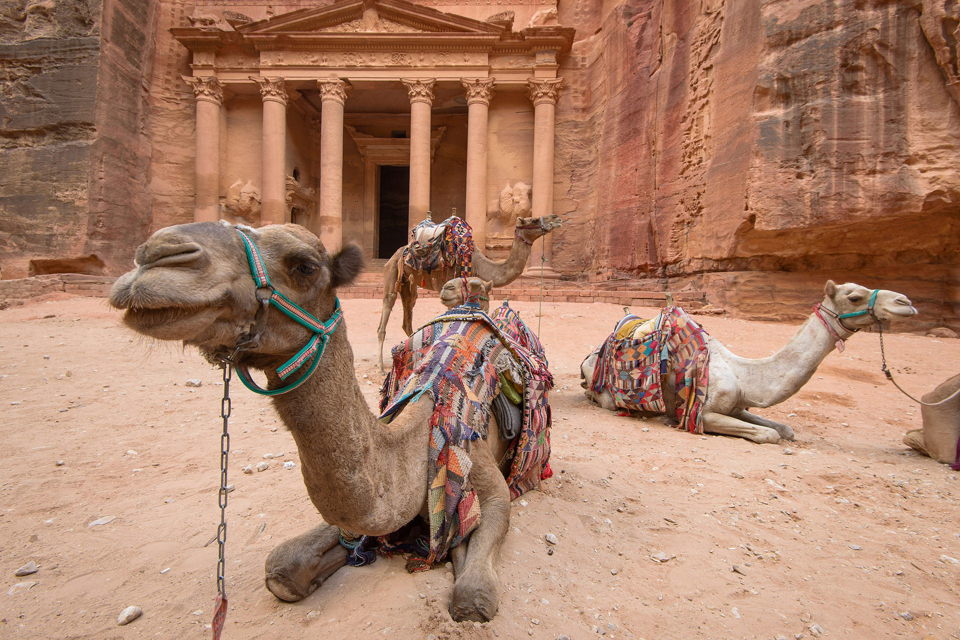Petra