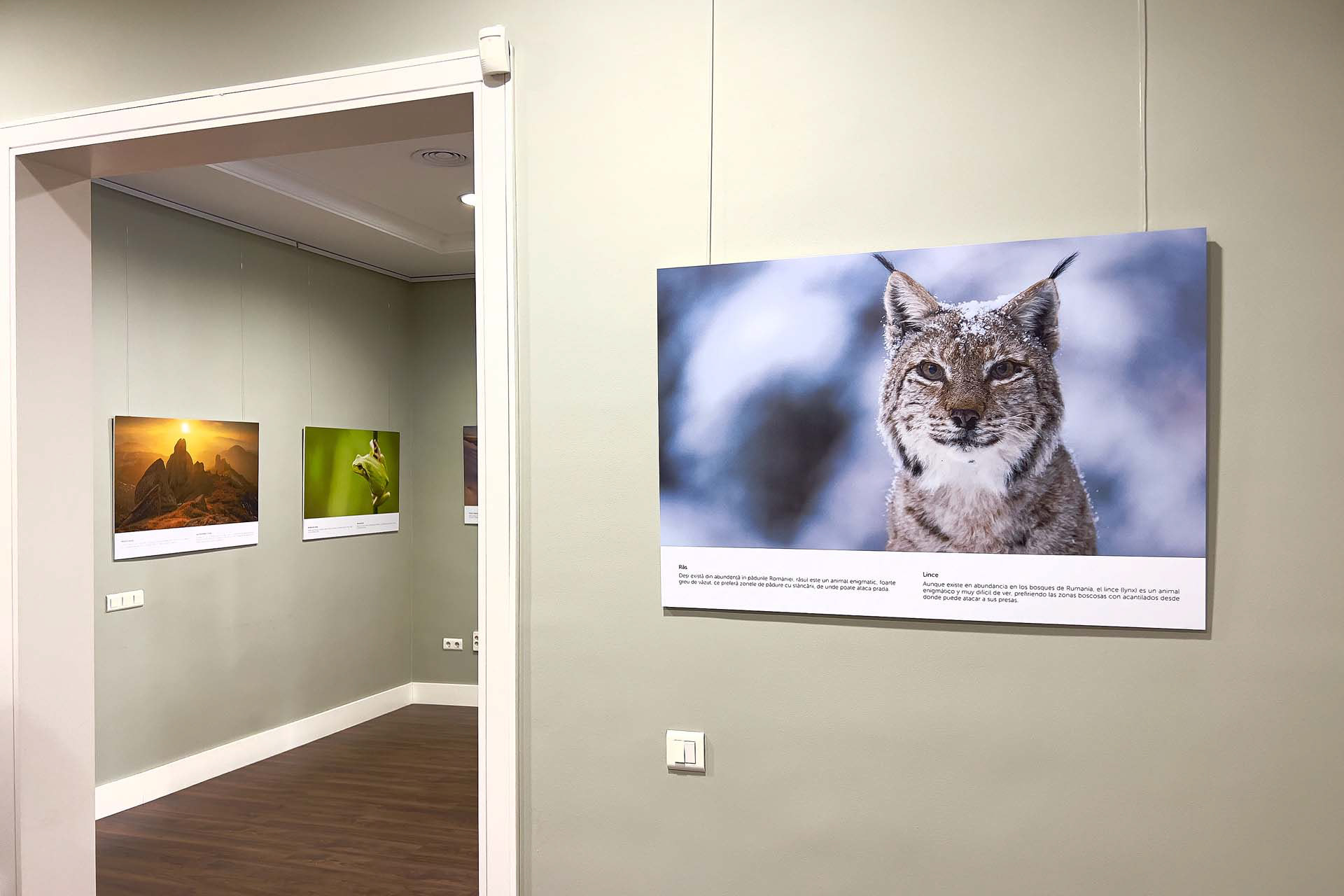 Exhibition in Spain