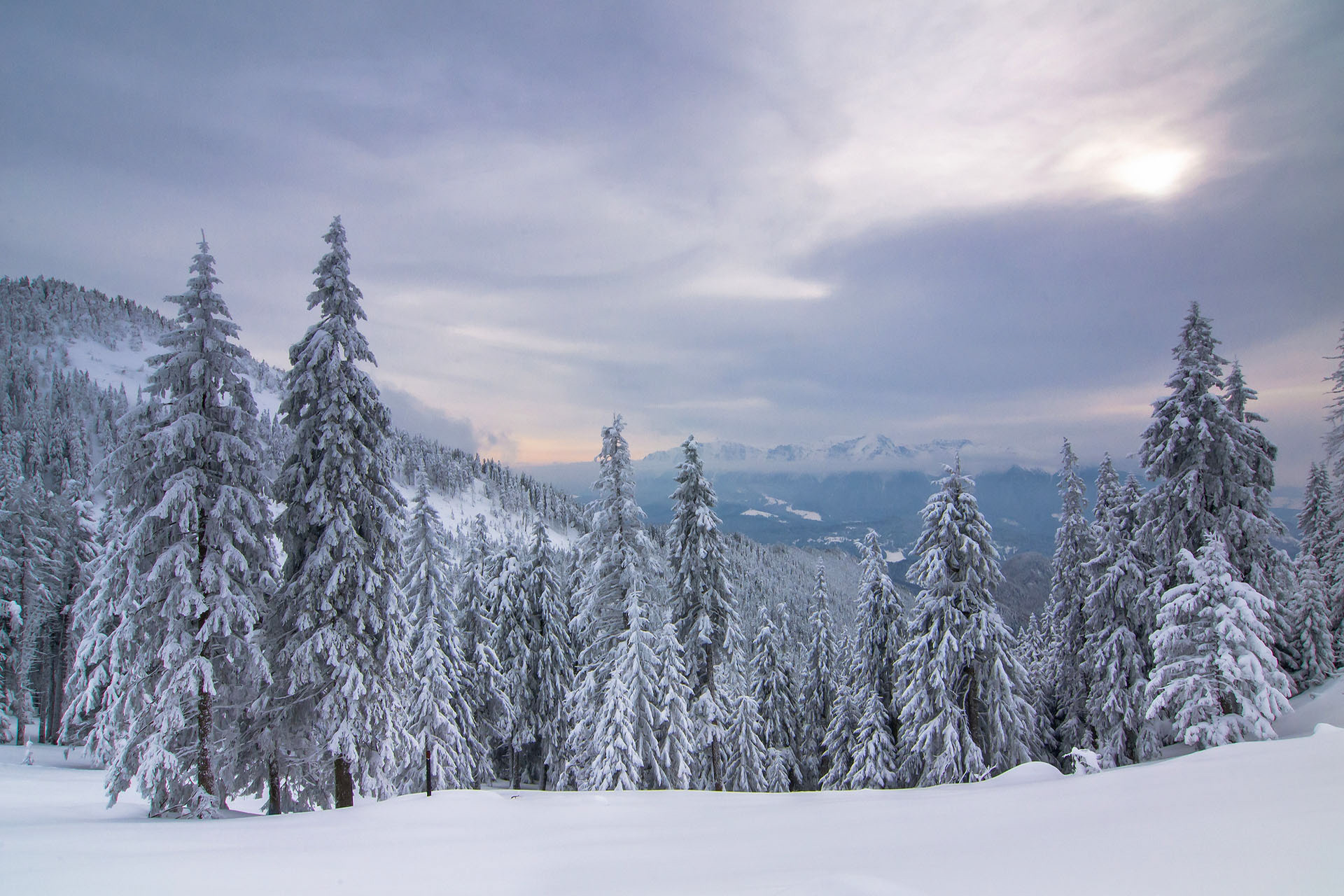 Postăvaru Mountain