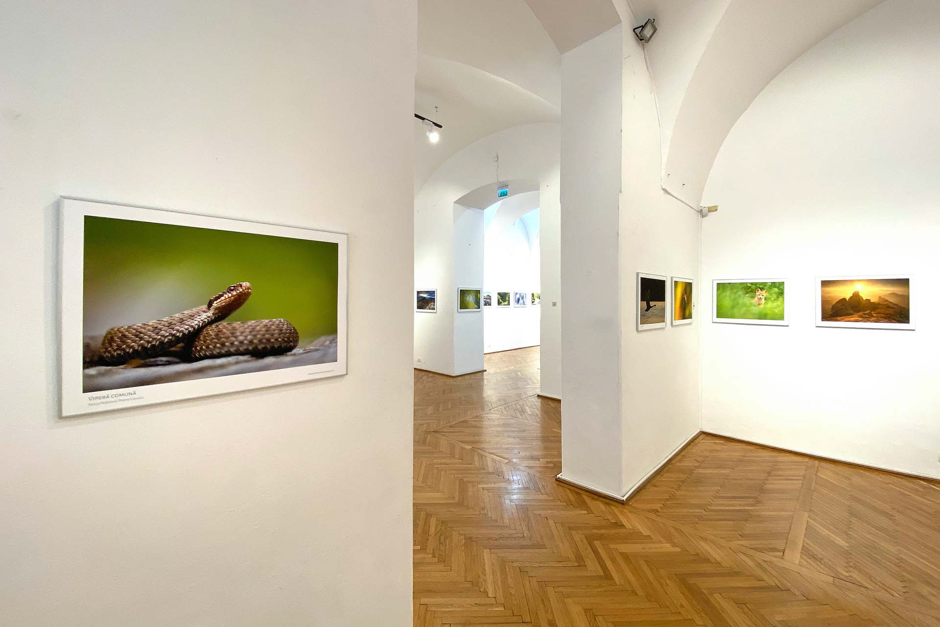 Exhibition in Romania