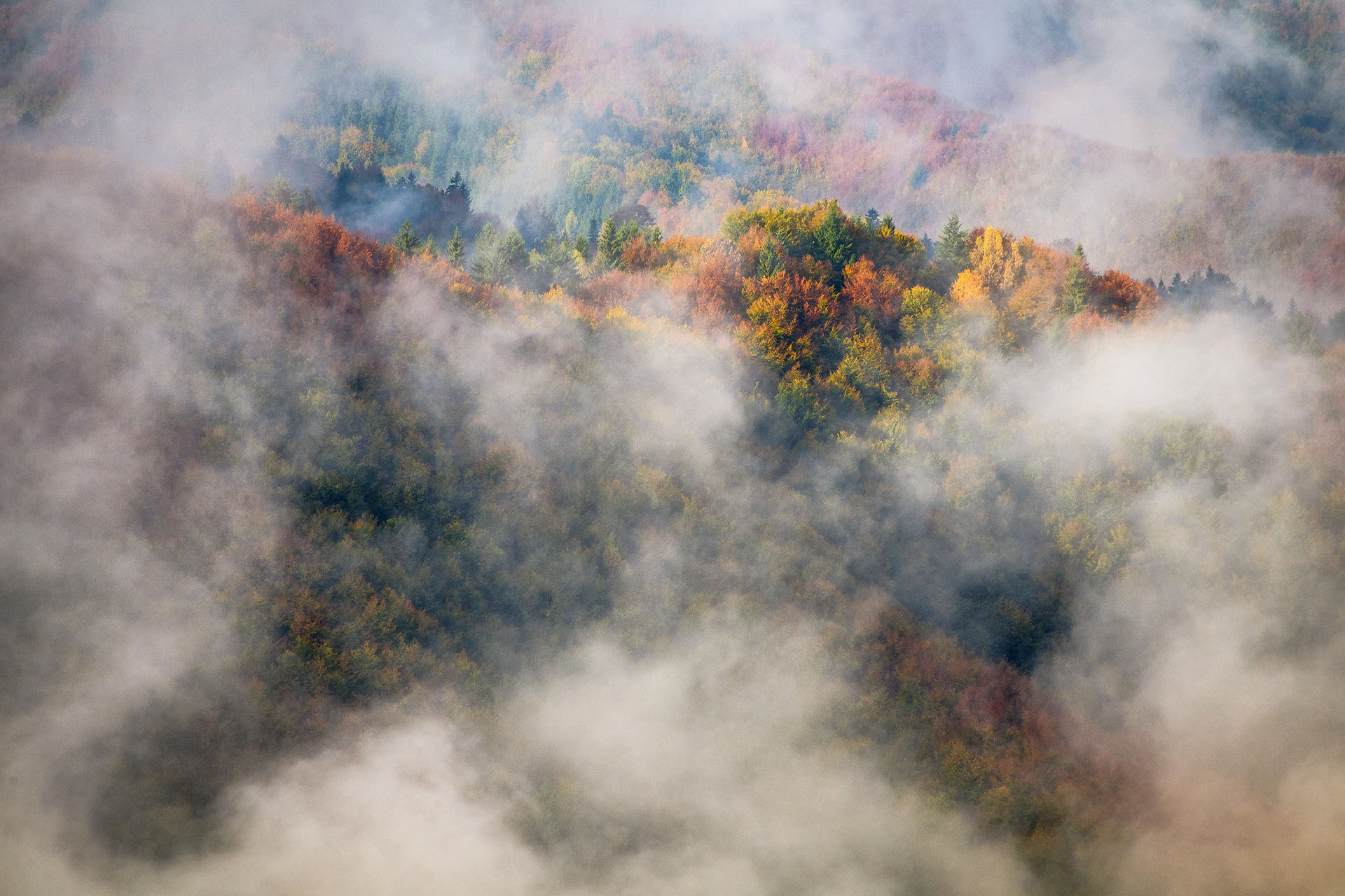Defileul Mureșului Superior Nature Park
