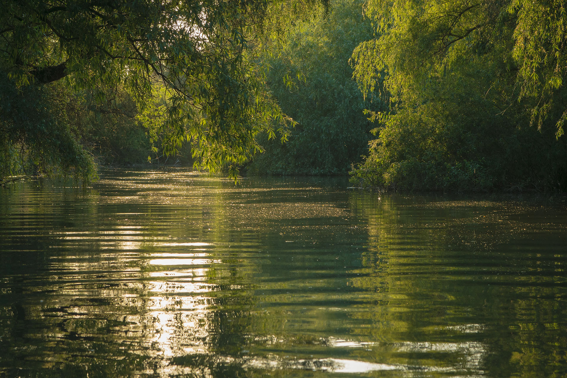 Delta Dunării | România