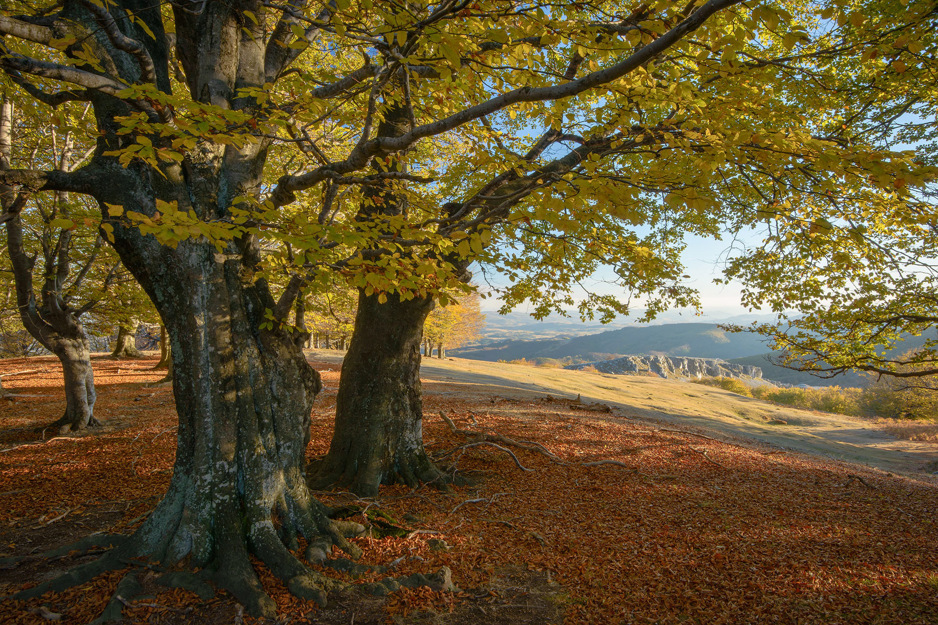 Domogled - Valea Cernei National Park