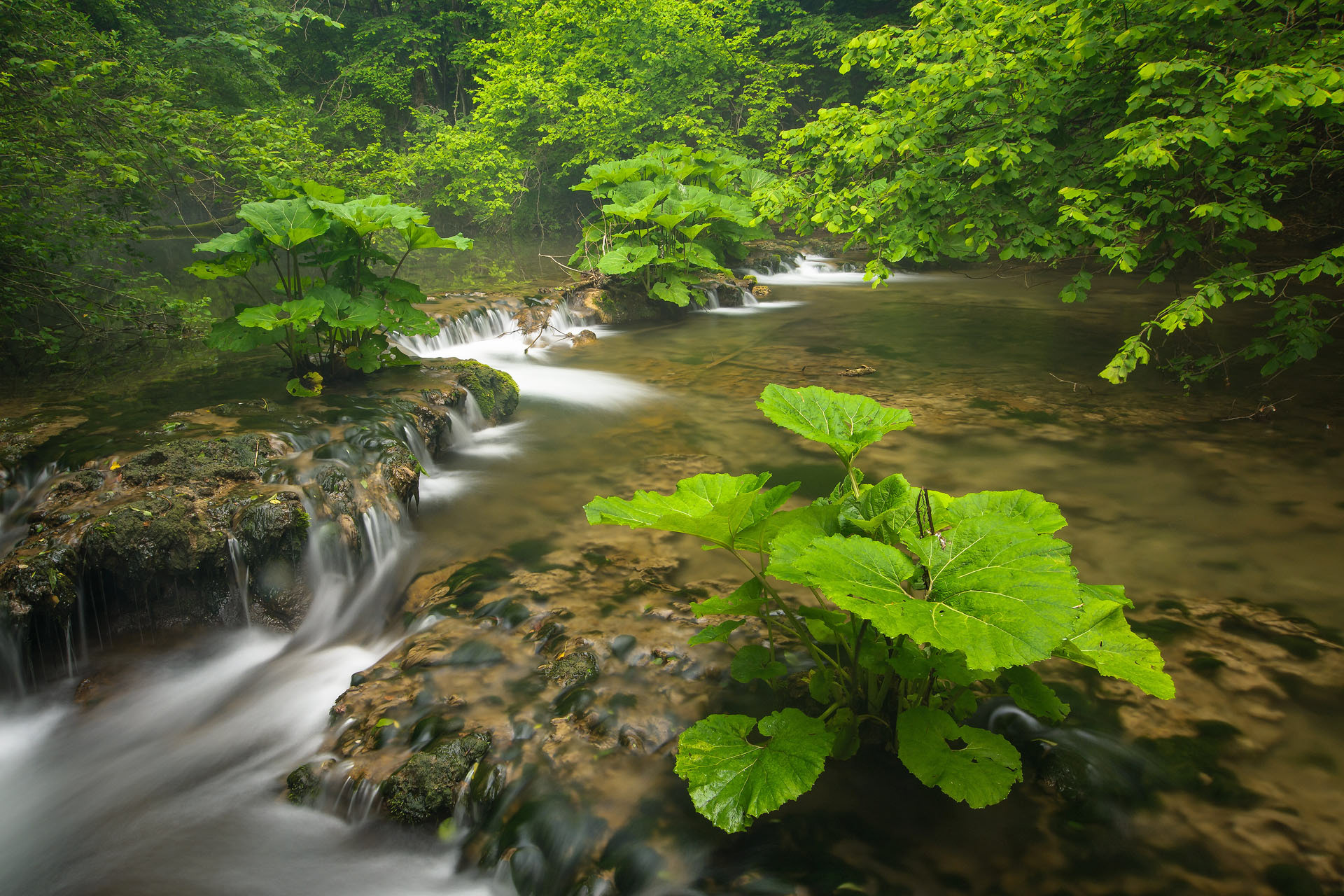 Cheile Nerei - Beușnița National Park