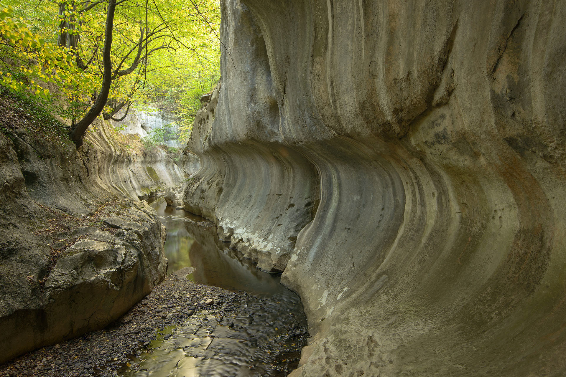 Bănița Gorge | Grădiștea Muncelului - Cioclovina Nature Park