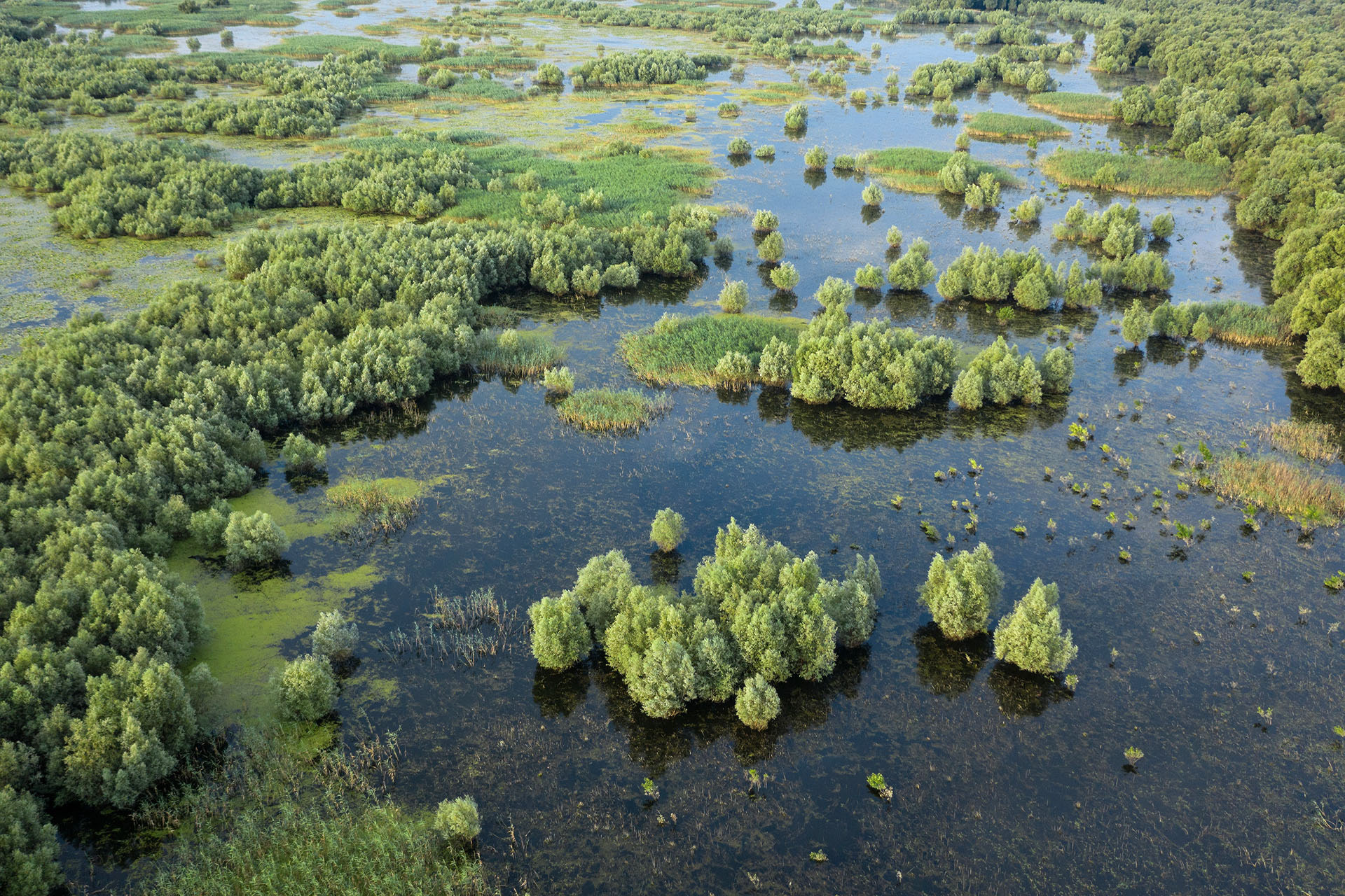 Balta Mică a Brăilei Nature Park