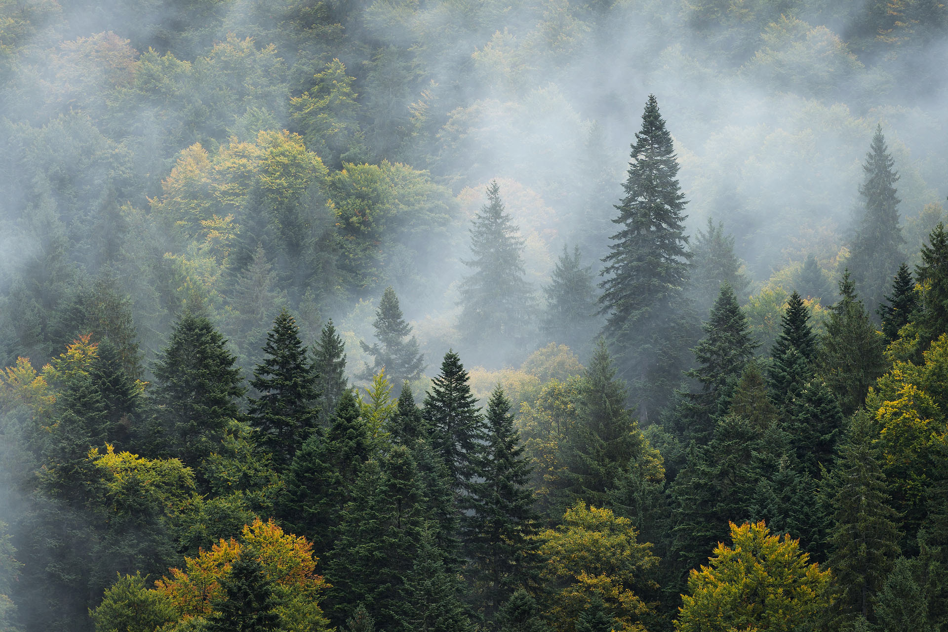 Retezat National Park