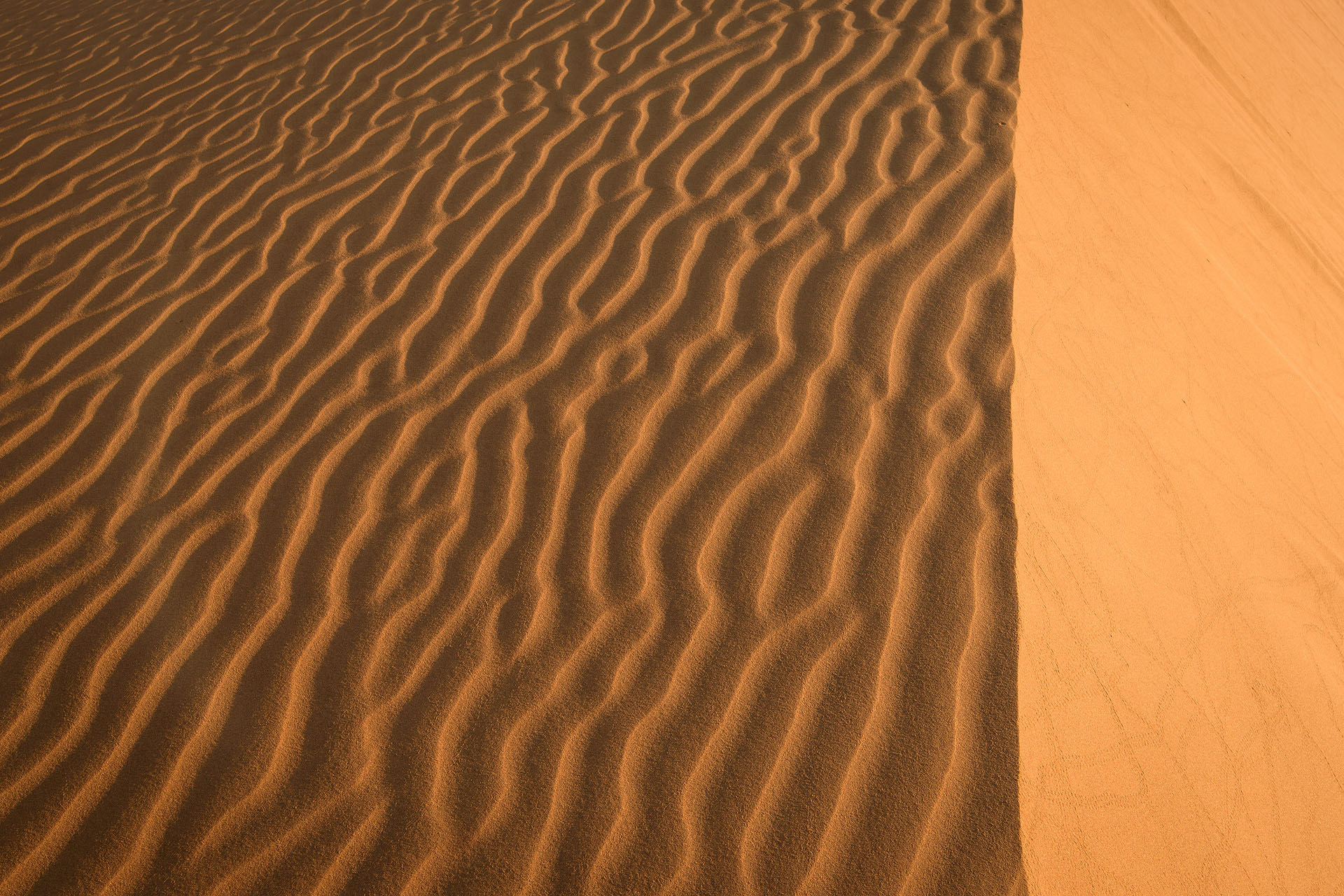 Namib Desert | Namibia