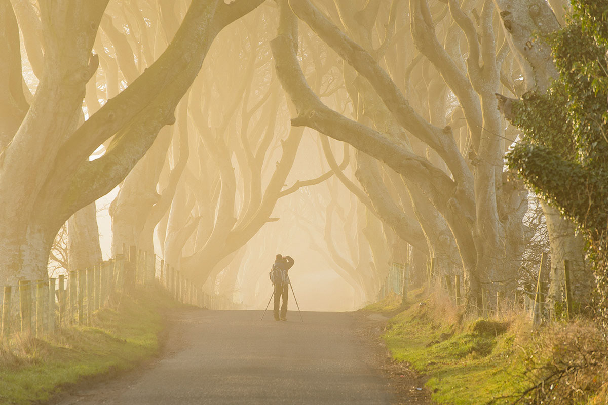 Irlanda de Nord