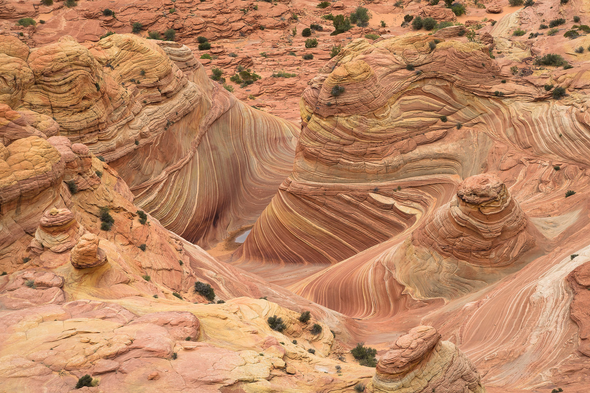 The Wave | Coyote Buttes