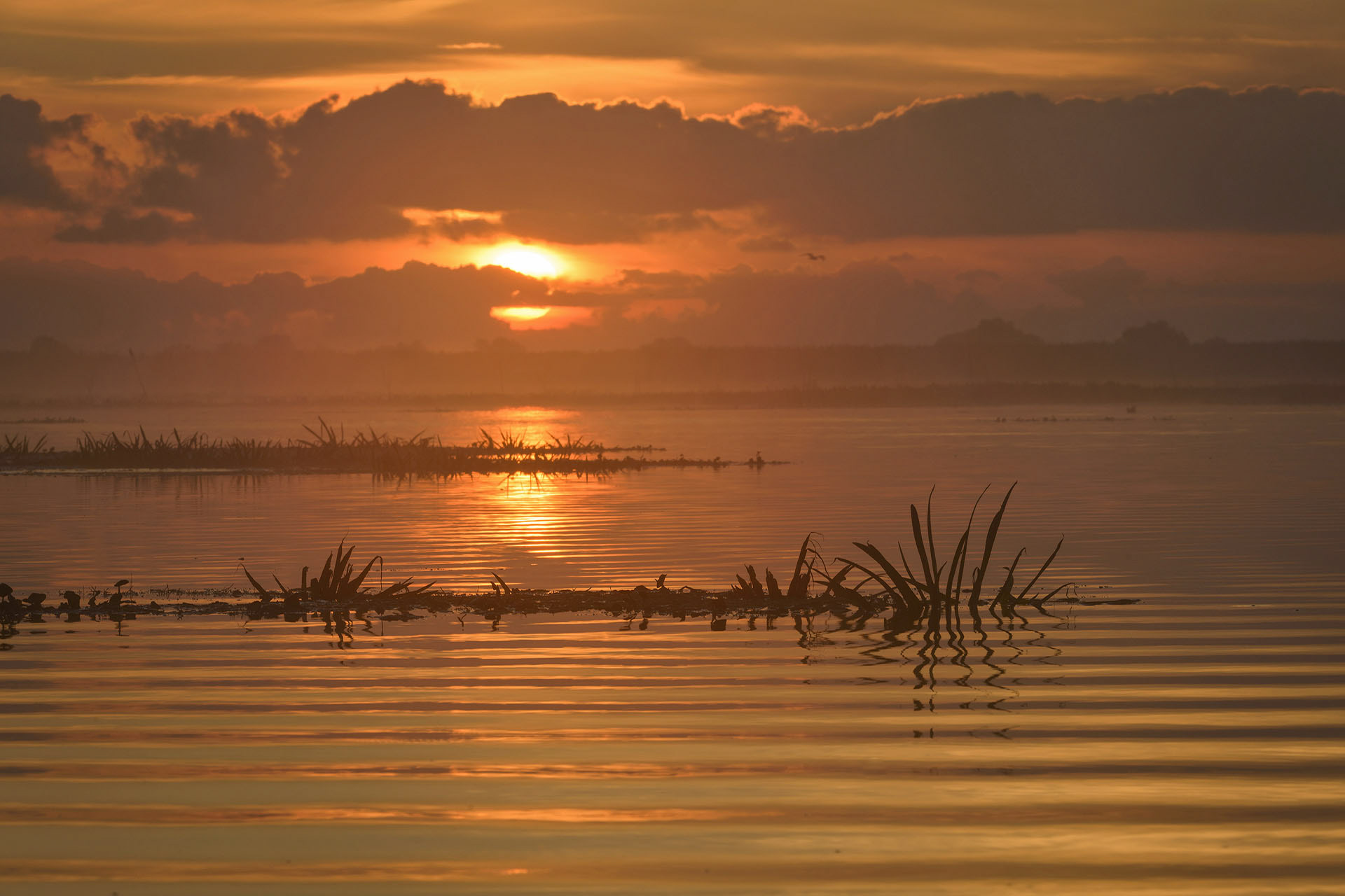 Danube Delta