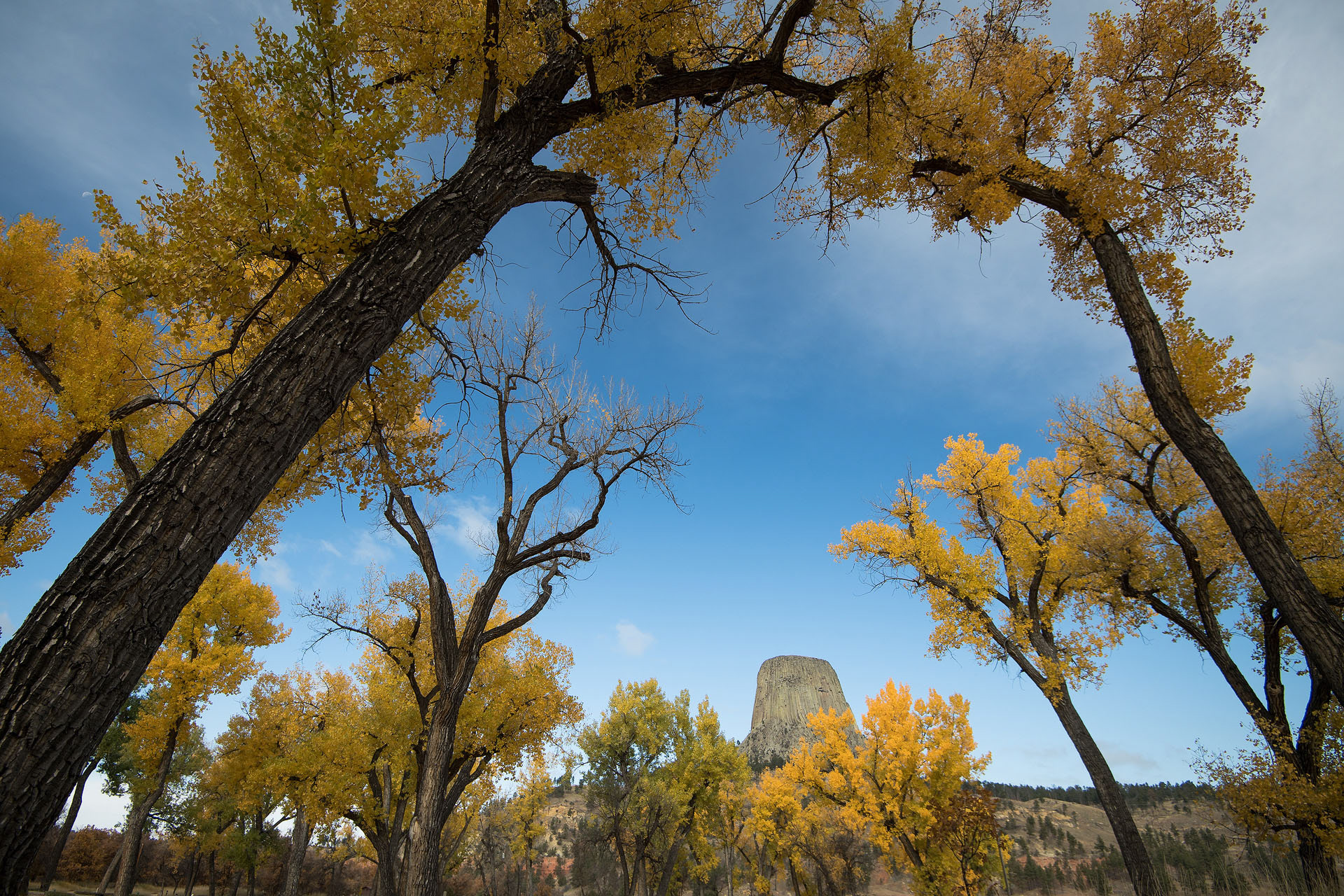Devil's Tower
