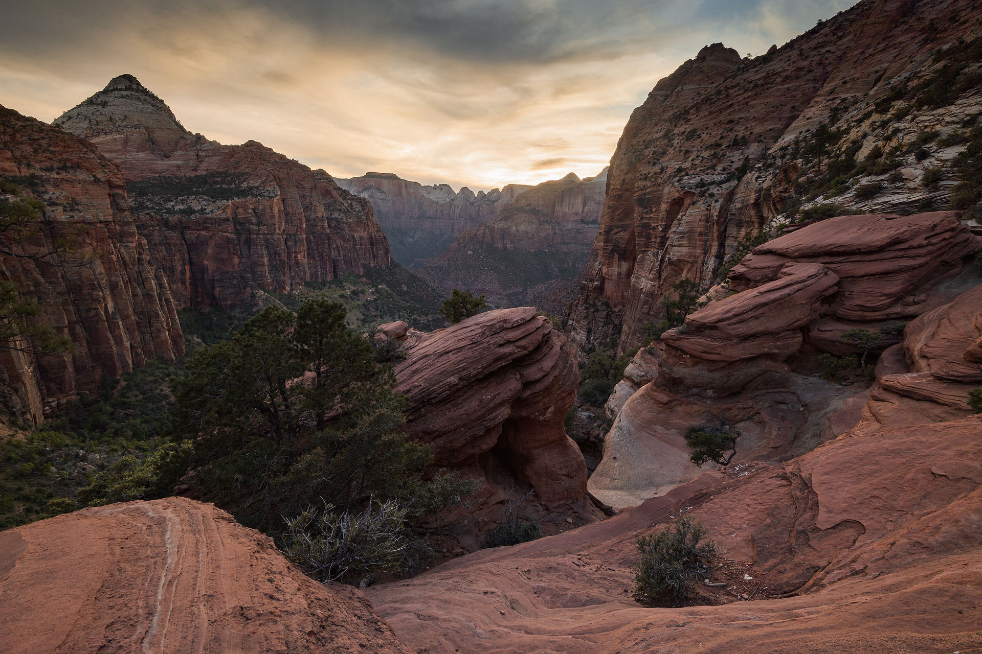 Zion
