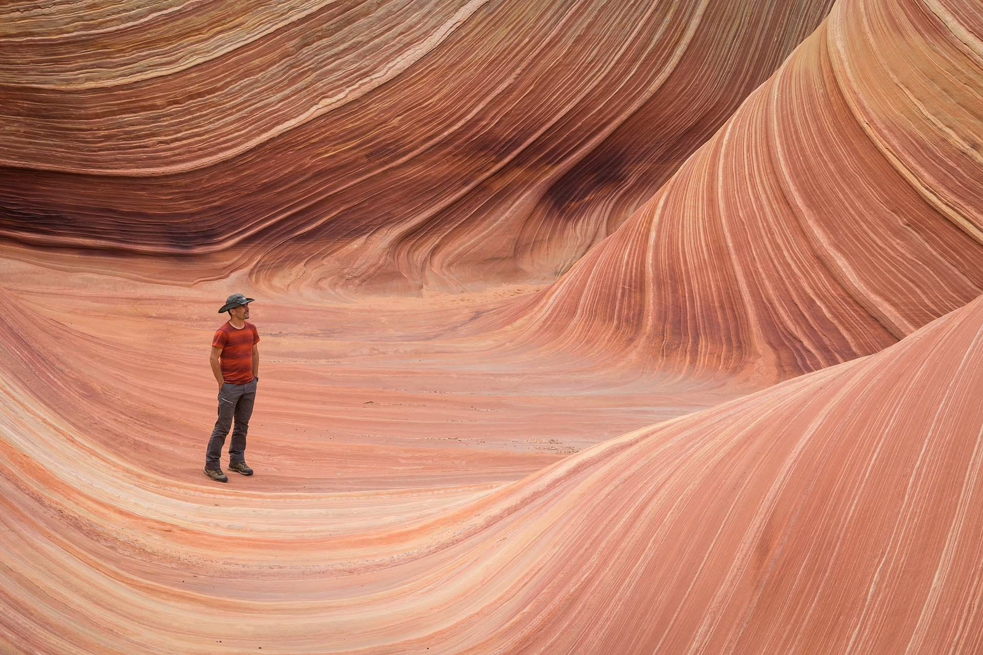 The Wave | SUA