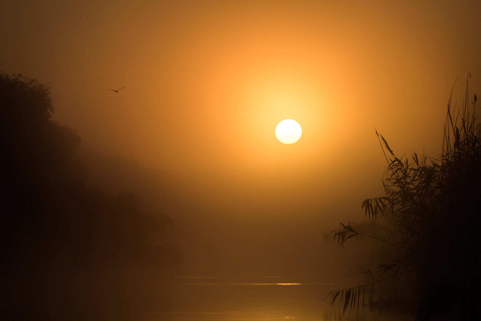 Danube Delta