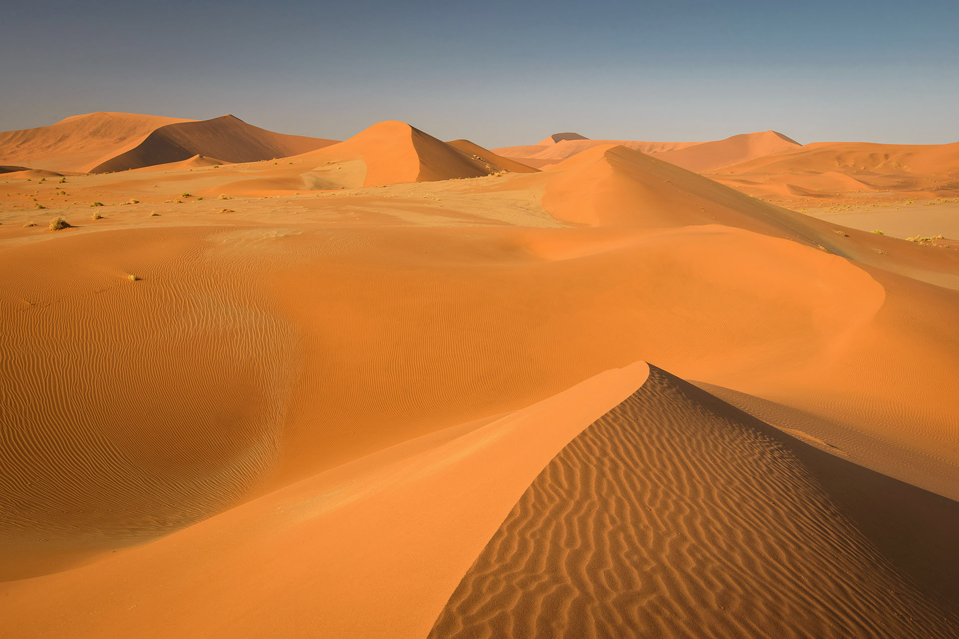 Namib Desert | Namibia