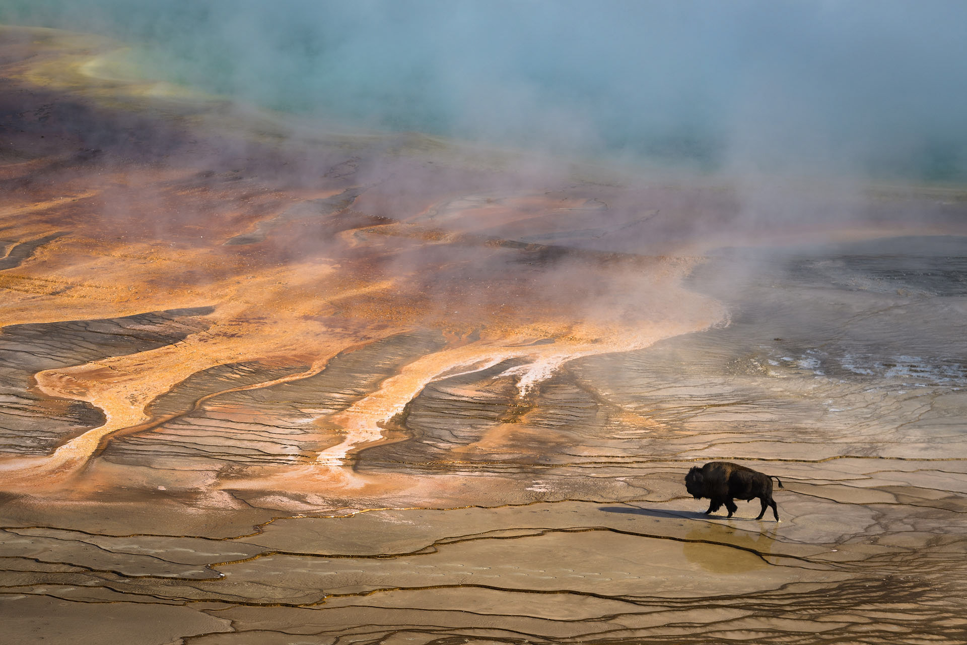 Grand Prismatic | Yellowstone