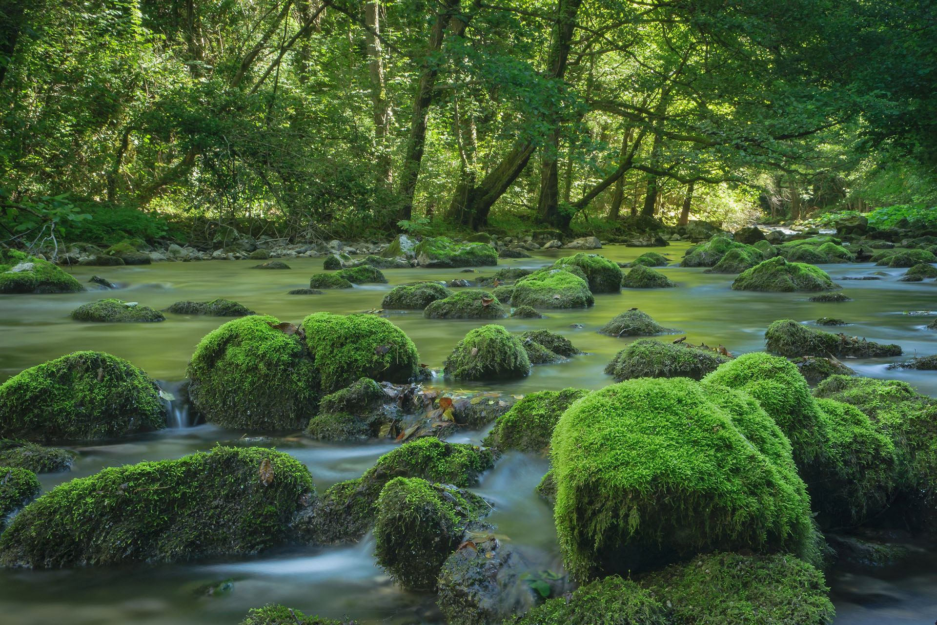 Semenic - Cheile Carașului National Park