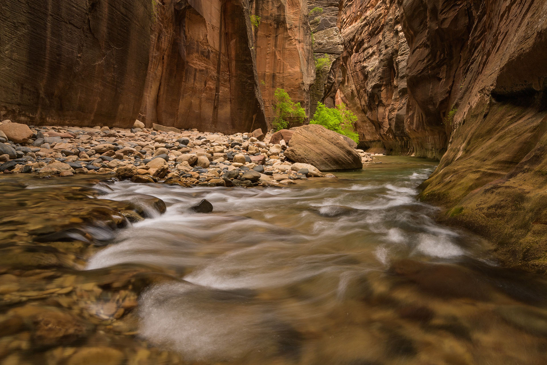 The Narrows | Zion