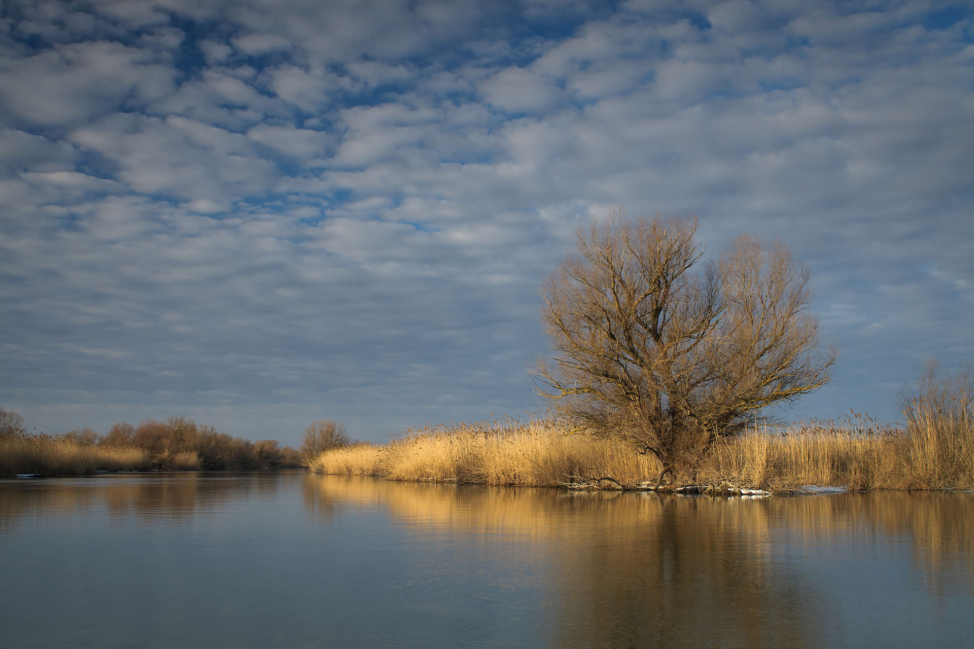 Danube Delta