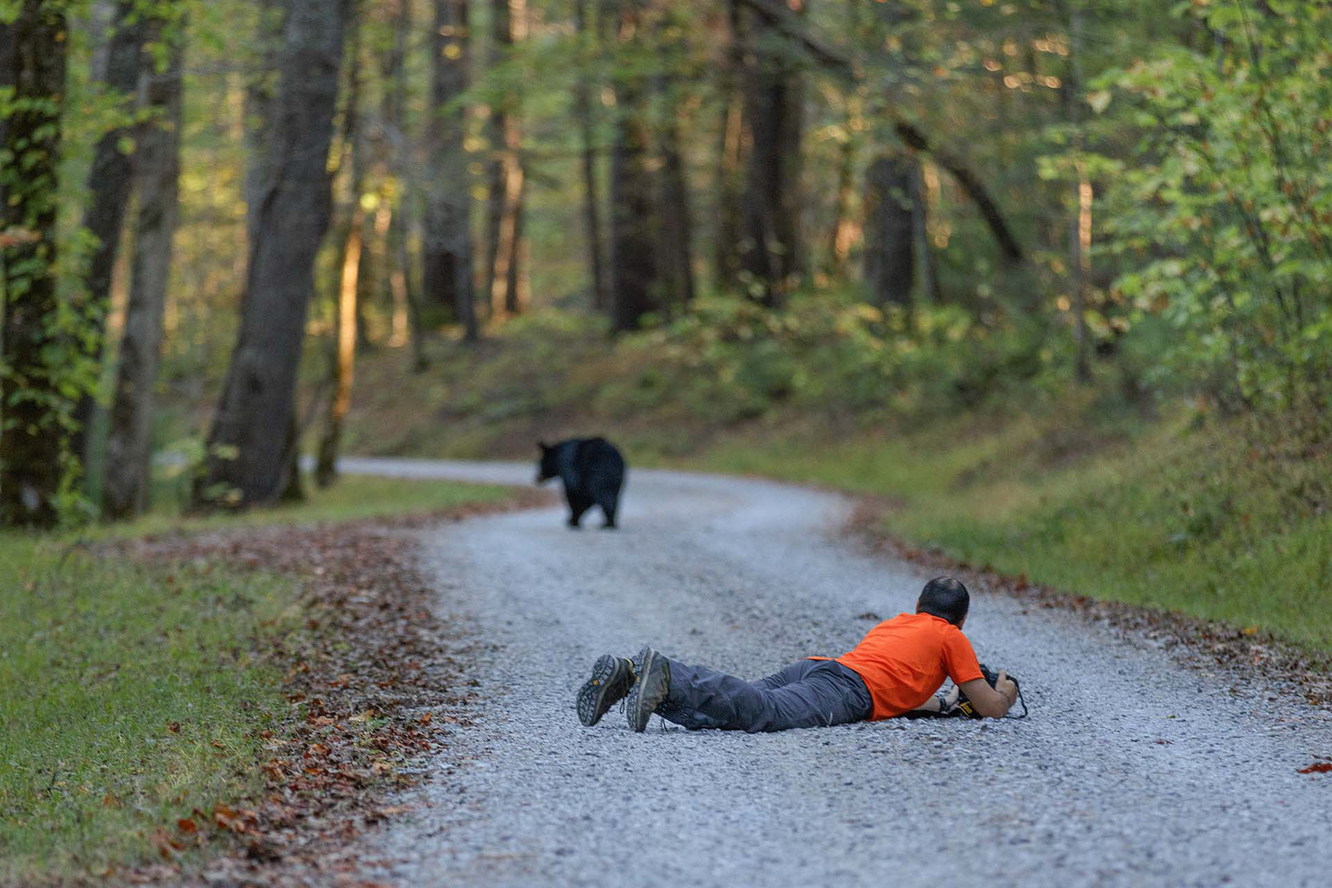 Great Smoky Mountains | SUA