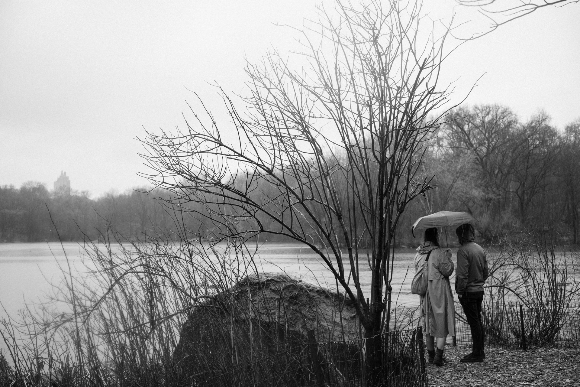 engagement session in Central Park