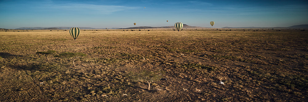 photo Grzegorz Sikorski