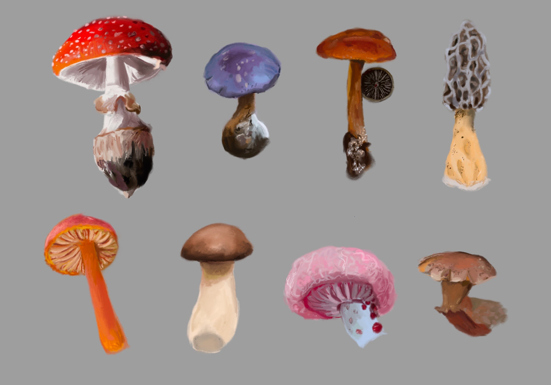 Mushrooms - Procreate