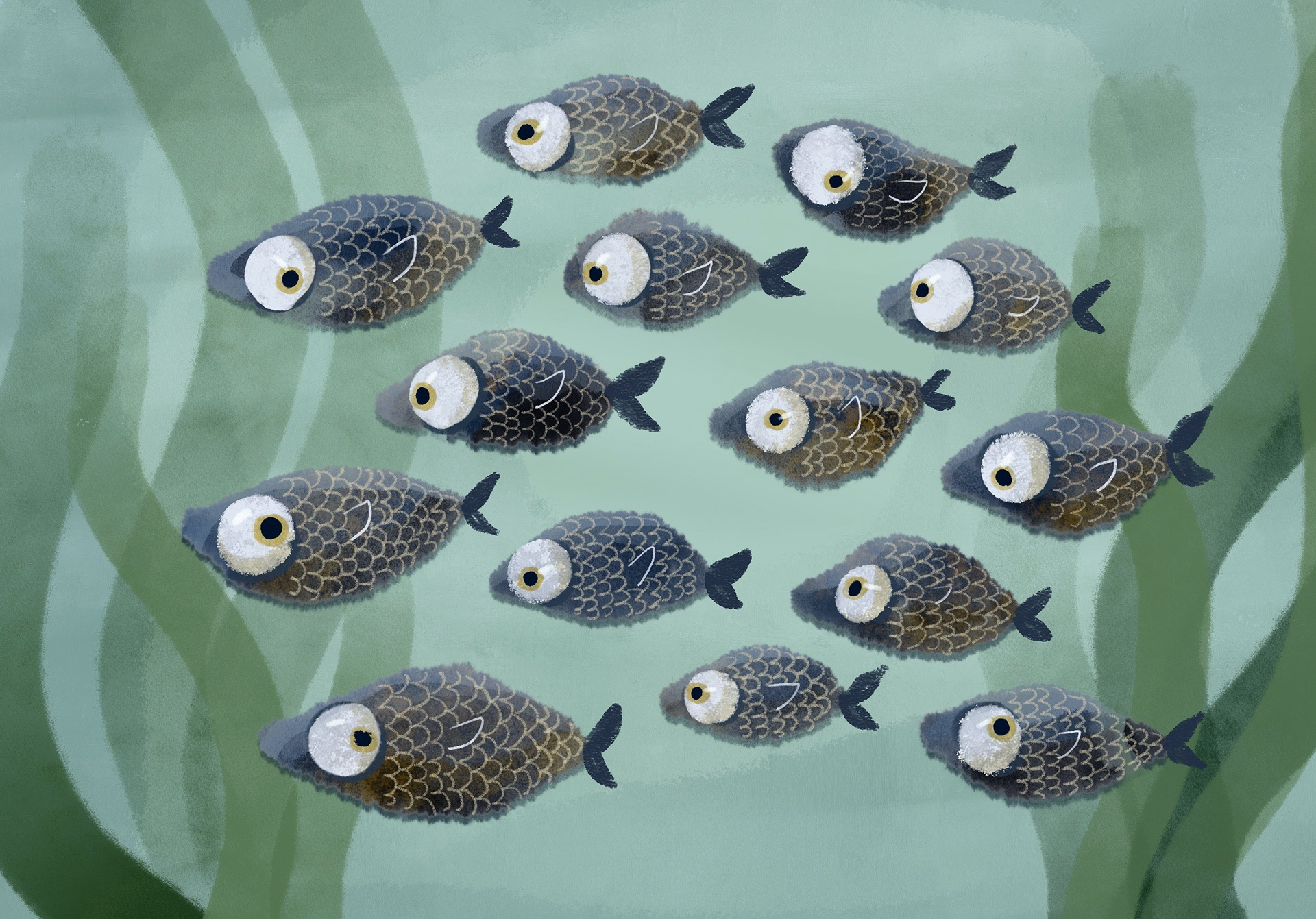 School of fish with background - Procreate